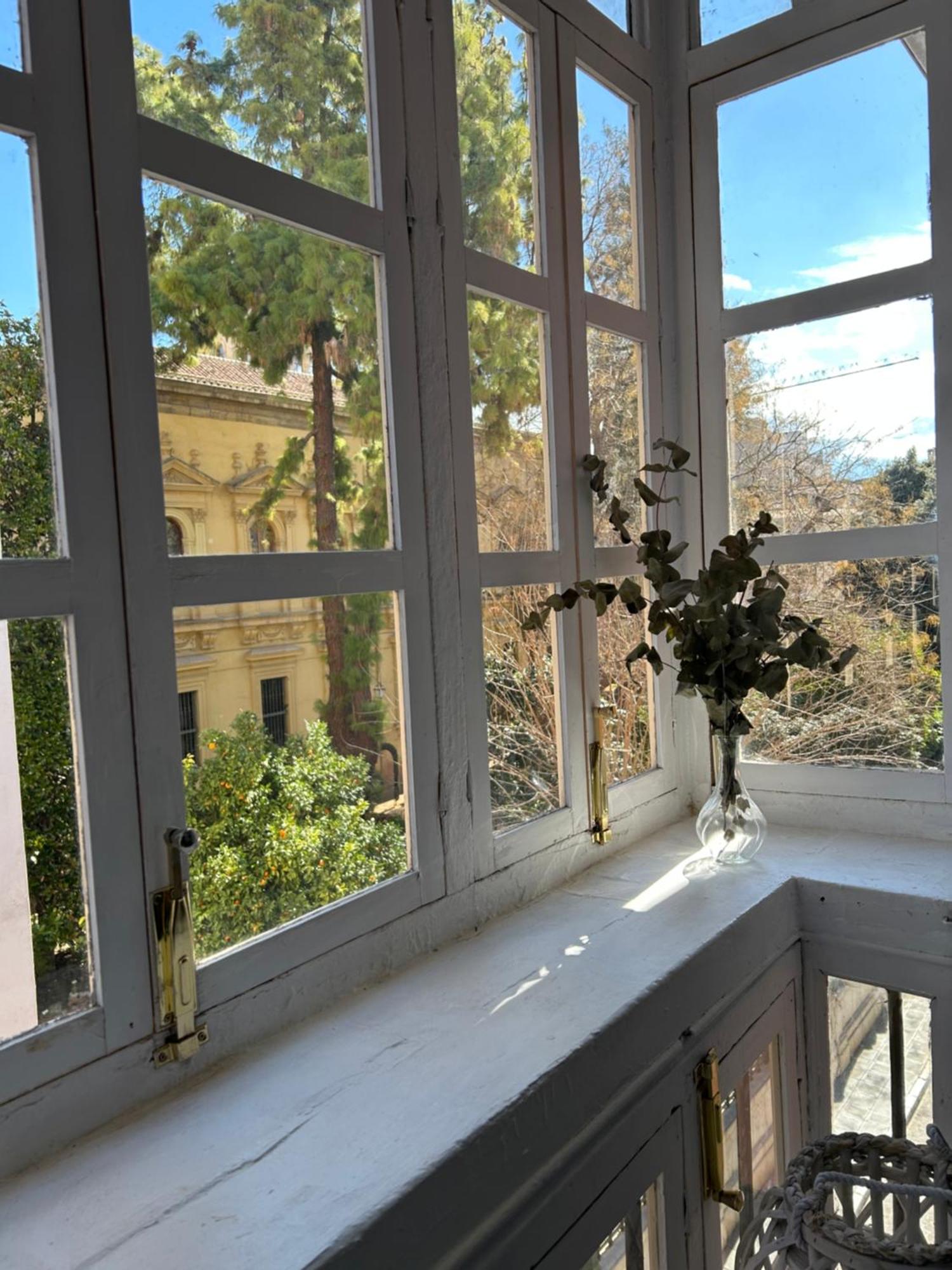 Apartamento Jardin Botanico Granada Dış mekan fotoğraf